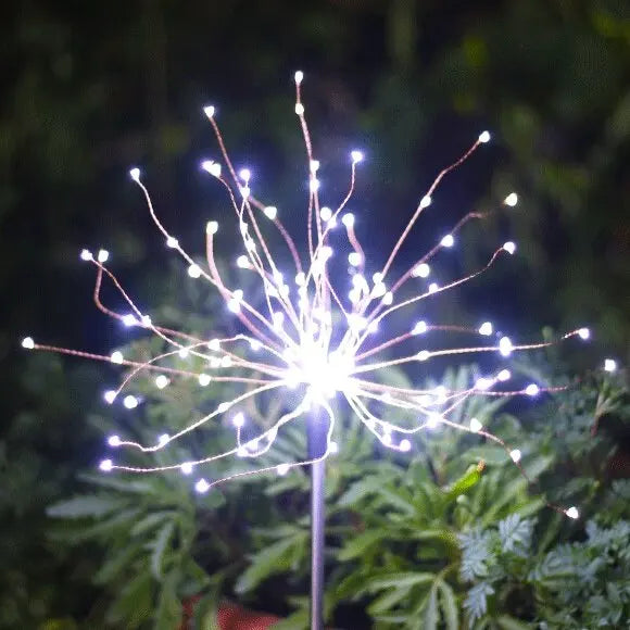 Fireworks Light